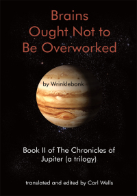 Cover image: Brains Ought Not to Be Overworked 9781438971759