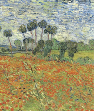 Cover image: Raven Biology of Plants 8th edition 9781429219617