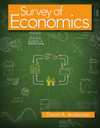 Cover image: Survey of Economics 9781429259569