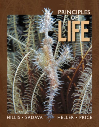 Cover image: Principles of Life 9781429286572