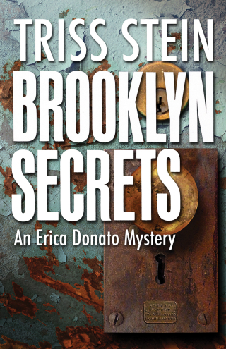 Imagen de portada: Brooklyn Secrets 1st edition 9781464204128