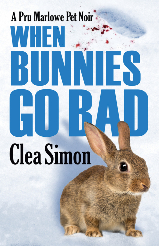 Cover image: When Bunnies Go Bad 9781464205354