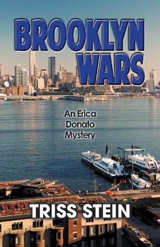Imagen de portada: Brooklyn Wars 9781464207198