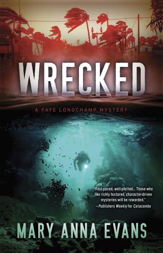 Imagen de portada: Wrecked 9781464214028