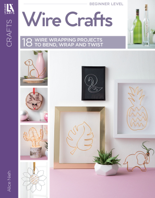 Cover image: Wire Crafts 9781464780486