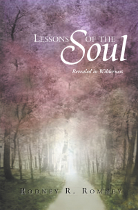 Cover image: Lessons of the Soul 9781425736668