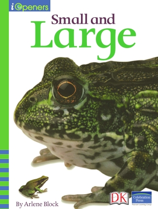 Cover image: iOpener: Small and Large 9781465447838