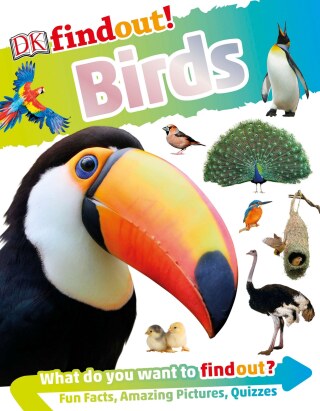 Cover image: DKfindout! Birds 9781465481511