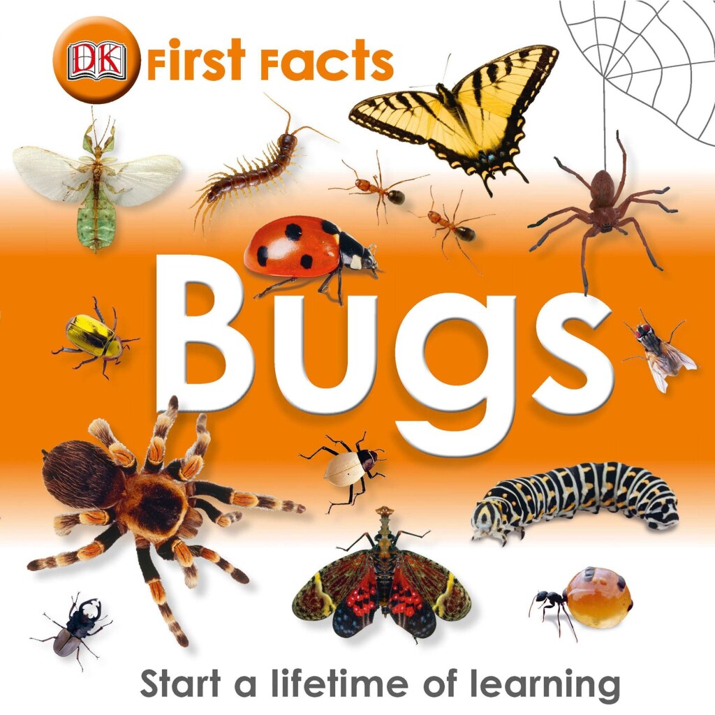 First Facts: Bugs Start a Lifetime of Learning