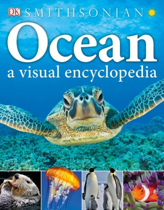 Cover image: Ocean: A Visual Encyclopedia 9781465435941