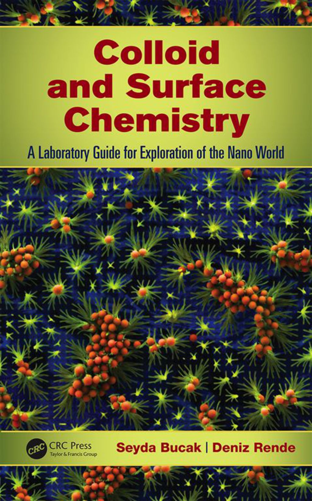 Colloid and Surface Chemistry A Laboratory Guide for Exploration of the Nano World 1st Edition