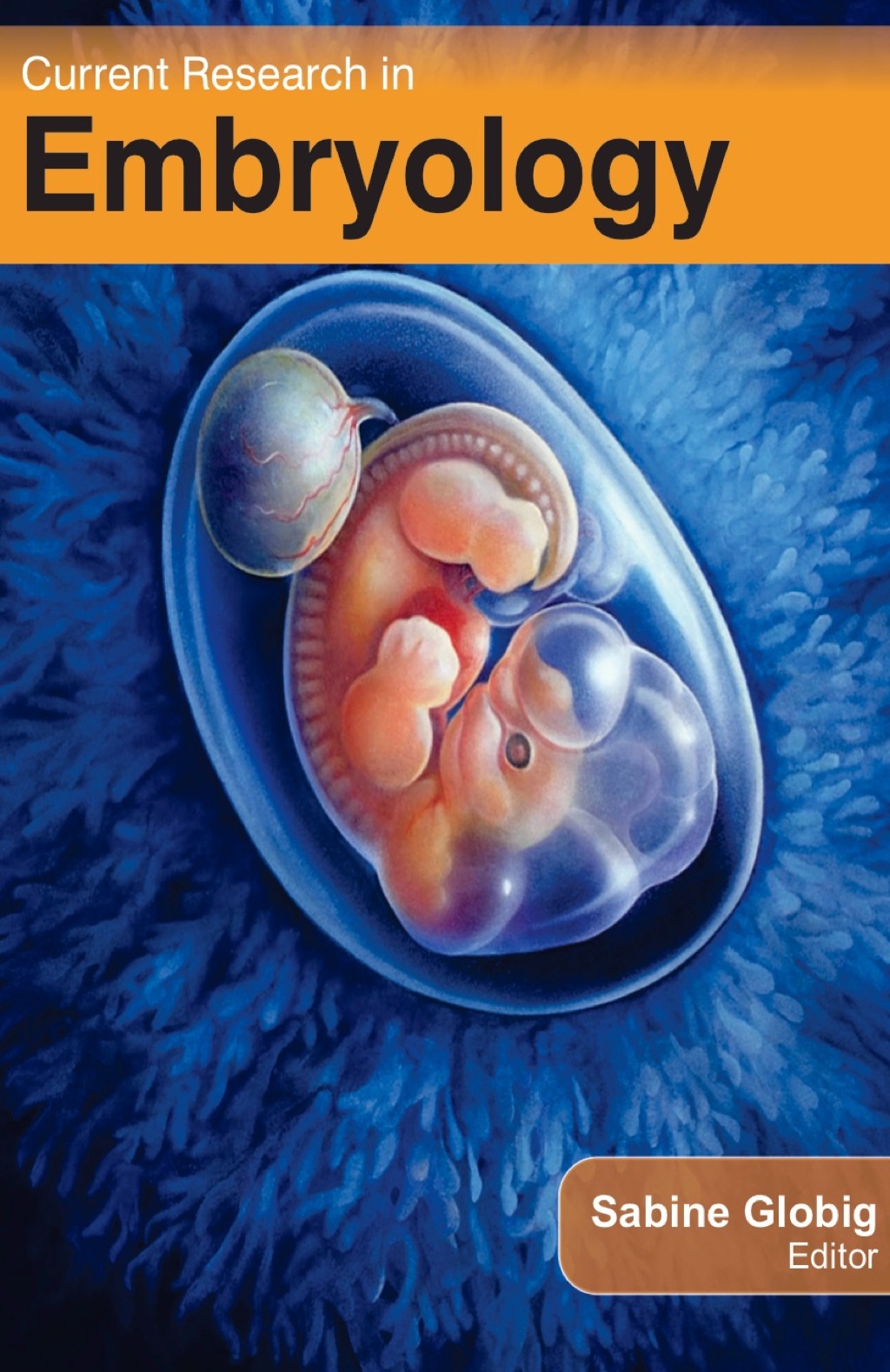 Current Research in Embryology 1st Edition
