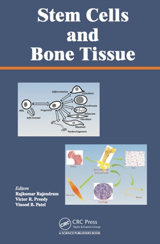 Cover image: Stem Cells and Bone Tissue 1st edition 9780367380397