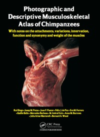 Omslagafbeelding: Photographic and Descriptive Musculoskeletal Atlas of Chimpanzees 1st edition 9780367380359