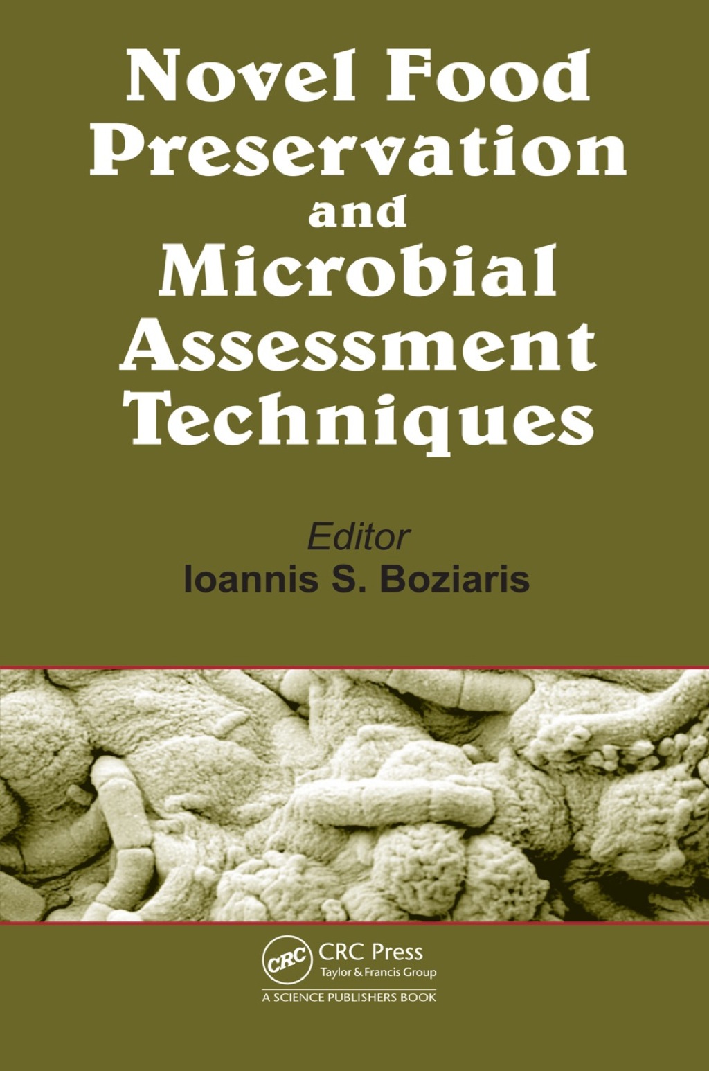 Novel Food Preservation and Microbial Assessment Techniques 1st Edition