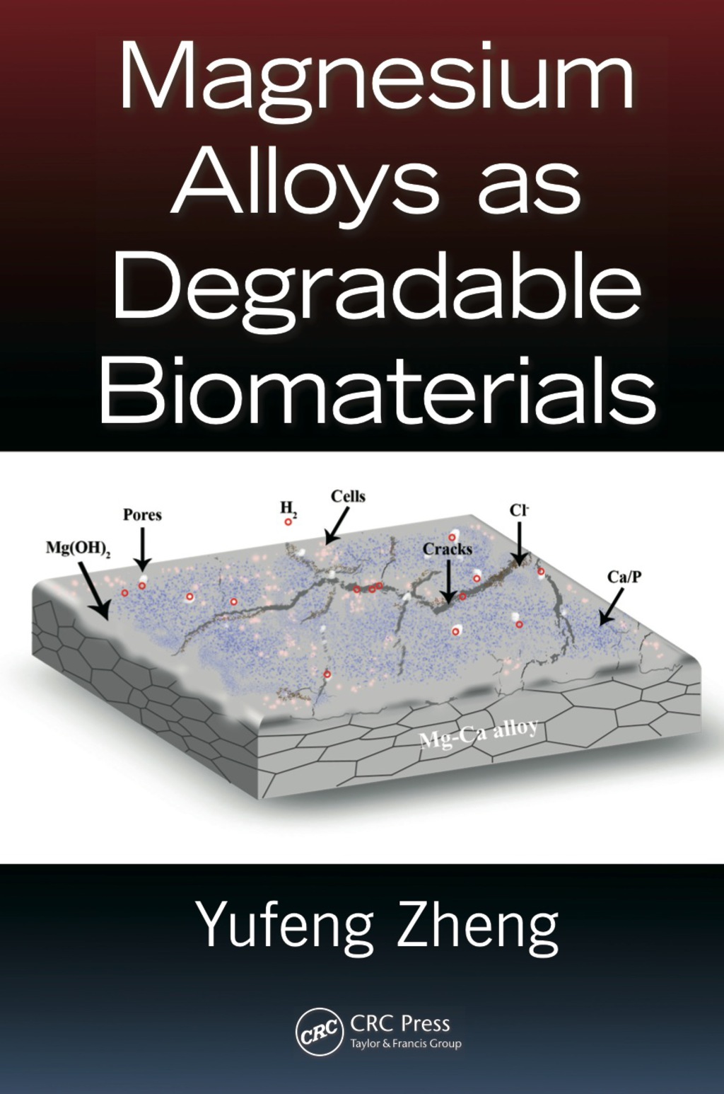 Magnesium Alloys as Degradable Biomaterials 1st Edition