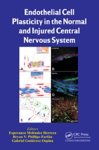 Immagine di copertina: Endothelial Cell Plasticity in the Normal and Injured Central Nervous System 1st edition 9781466599215