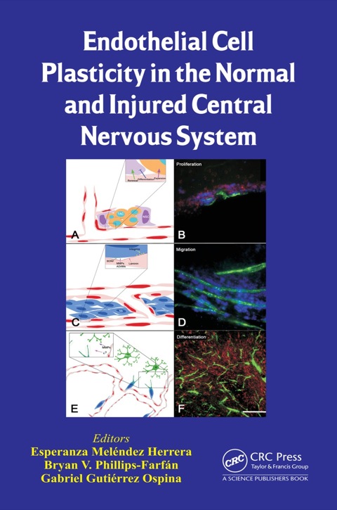 Endothelial Cell Plasticity in the Normal and Injured Central Nervous System, 1st Edition - FULL INSTANT DOWNLOAD | PDF DOCX EPUB