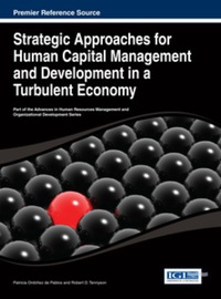 صورة الغلاف: Strategic Approaches for Human Capital Management and Development in a Turbulent Economy 9781466645301