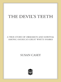 Cover image: The Devil's Teeth 9780805080117