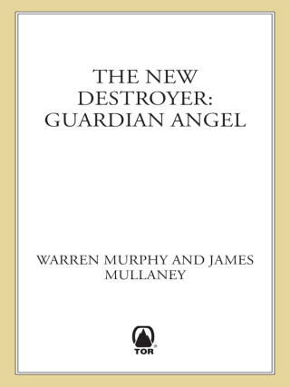 Cover image: The New Destroyer: Guardian Angel 9780765357595