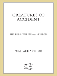 Cover image: Creatures of Accident 9780809037018