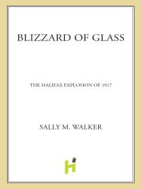 Cover image: Blizzard of Glass 9780805089455