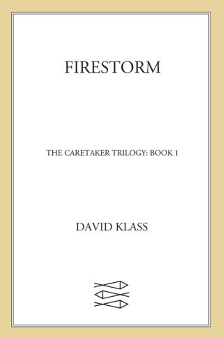 Imagen de portada: Firestorm 9780374323073