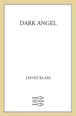 Cover image: Dark Angel 9780374399504