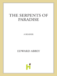 Cover image: The Serpents of Paradise 9780805031331