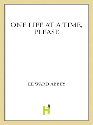 Cover image: One Life at a Time, Please 9780805006032