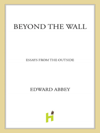 Cover image: Beyond the Wall 9780805008203