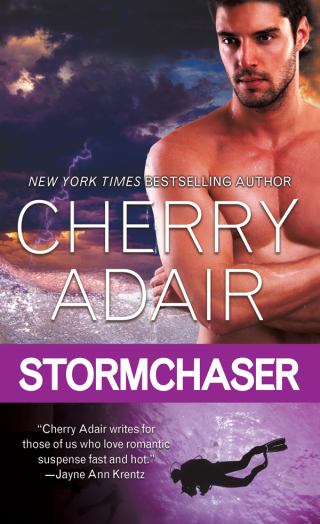 Imagen de portada: Stormchaser 9781250016348