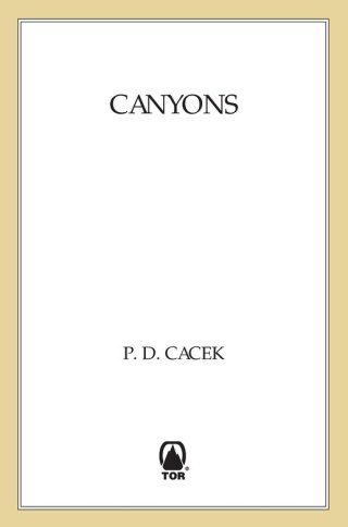 Cover image: Canyons 9780312873837