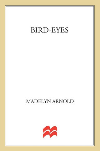 Imagen de portada: Bird-Eyes 9780312262945