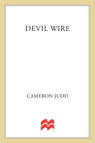 Imagen de portada: Devil Wire 9780312969950