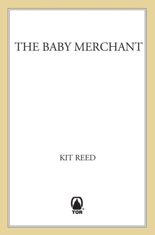 Cover image: The Baby Merchant 9780765315502