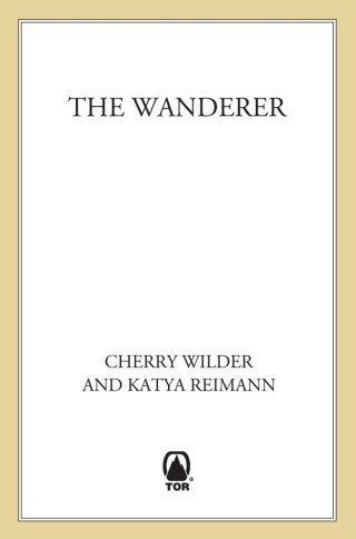 Cover image: The Wanderer 9780312874056