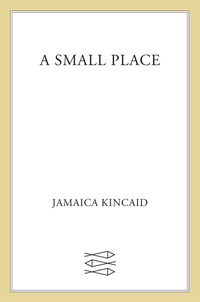 Cover image: A Small Place 9780374527075