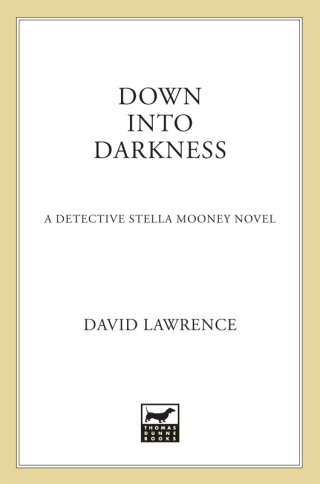 Imagen de portada: Down into Darkness 9780312347420