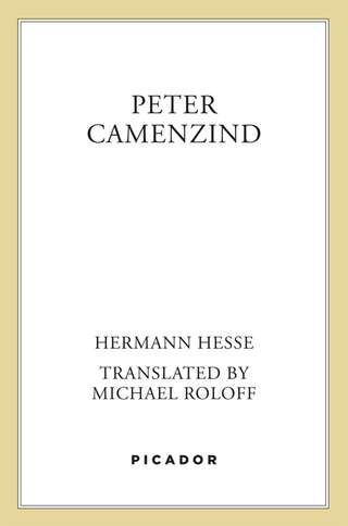 Cover image: Peter Camenzind 9780312422639