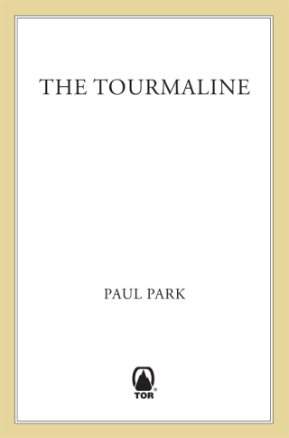 Cover image: The Tourmaline 9780765314413