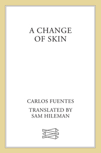 Cover image: A Change of Skin 9780374120443