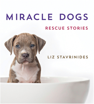 Imagen de portada: Miracle Dogs 9781250045775