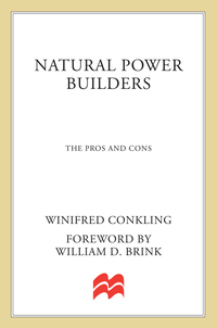 Cover image: Natural Power Builders 9780312971038