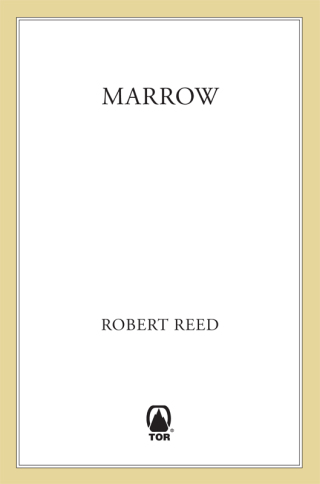 Imagen de portada: Marrow 9780312868017