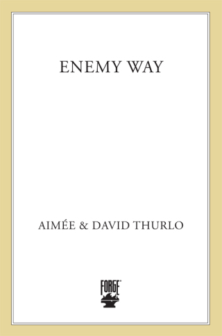 صورة الغلاف: Enemy Way 9780312855208