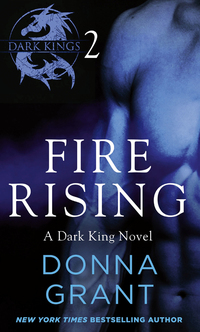 Cover image: Fire Rising: Part 2 9781466852501