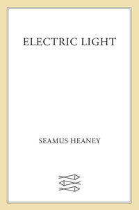 Cover image: Electric Light 9780374528416