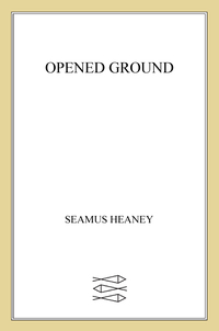 Cover image: Opened Ground 9780374526788